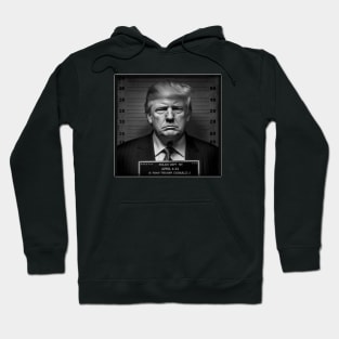 Trump Mugshot Hoodie